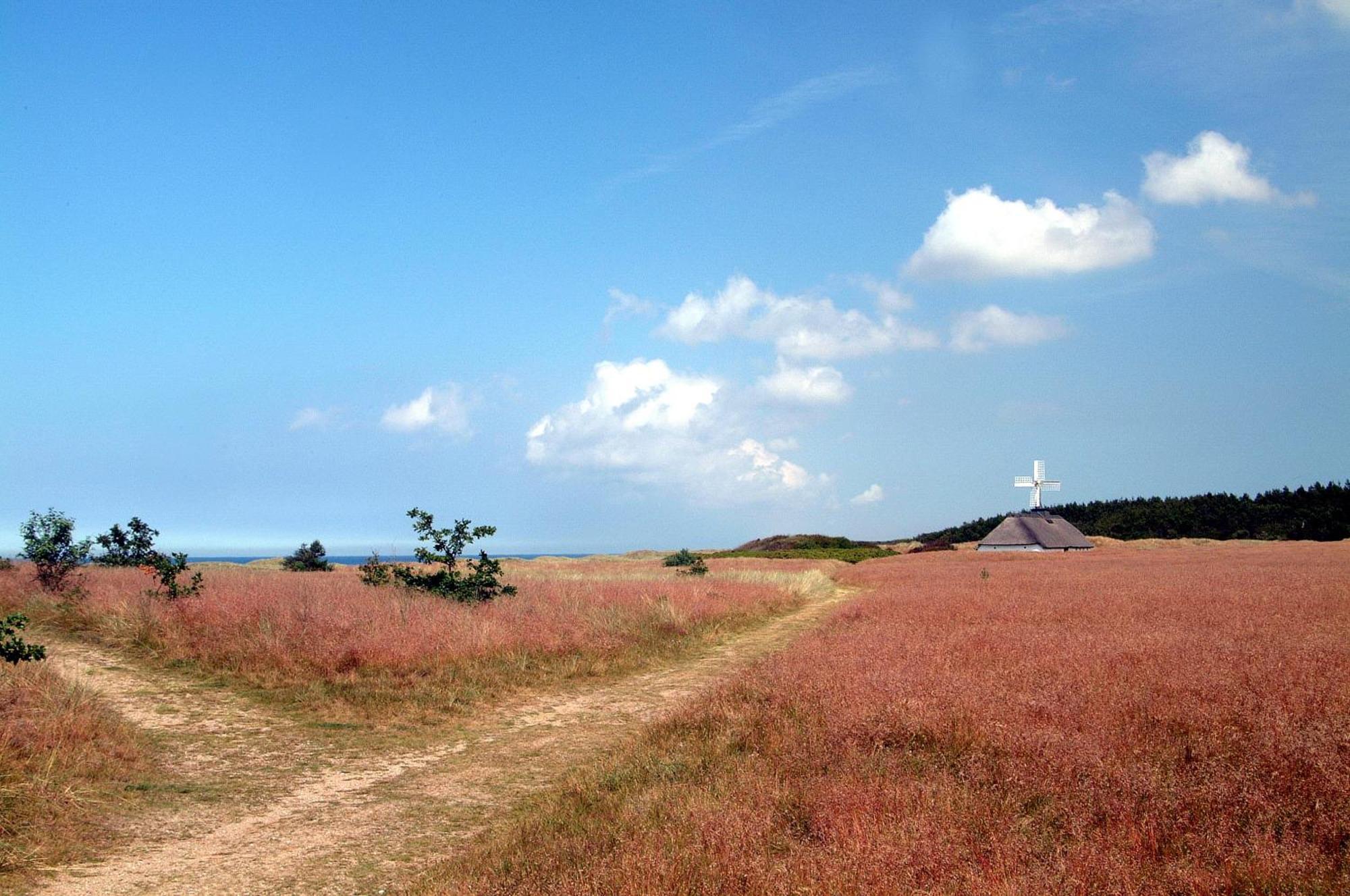 Nordkap Farm Holiday & Hostel Bindslev エクステリア 写真